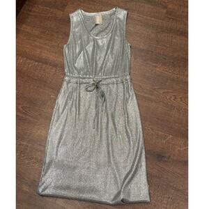 Dolan Left Coast Anthropologie Metallic Tie Waist Silver Ribbed Midi Dress Small